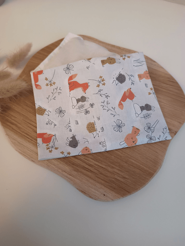 Bouillotte sèche anti coliques